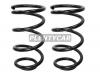BAIKOR BKCS0073 Пружина подвески (2шт комплект) передняя FORD TRANSIT 06