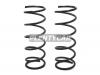 BAIKOR BKCS0125 Пружина подвески (2шт комплект) передняя TOYOTA IPSUM 96