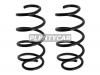 BAIKOR BKCS0271 Пружина подвески (2шт комплект) передняя VOLKSWAGEN PASSAT CC 05-10