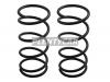 BAIKOR BKCS0288 Пружина подвески (2шт комплект) передняя HONDA STEPWGN RF4/RF6 03-05