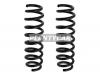 BAIKOR BKCS0348 Пружина подвески (2шт комплект) задняя BMW 1-SERIES E81 06-12/3-SERIES E9# 04-13