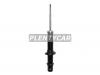 BAIKOR BKSAF0177 Стойка передняя HONDA CIVIC/ORTHIA/PARTNER 95-02/DOMANI 97-02 LH=RH