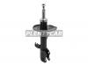 BAIKOR BKSAF0376 Стойка передняя TOYOTA WISH ZGE2# 09- LH