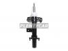 BAIKOR BKSAR0056 Стойка задняя LAND ROVER FREELANDER 06- RH