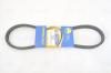 AMD AMD.BL319 Ремень 13A0850/96350467/A 33.1 (34) клиновой кондиционера