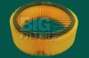BIG FILTER GB9113 ДЕТАЛЬ