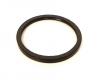 FORD 1369754 RADIALDICHTRING