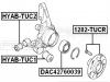 FEBEST DAC42760039 Подшипник ступицы передней