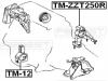 FEBEST TM-ZZT250R Подушка двигателя задняя