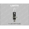 LYNX L20170 Лампа H1 24V 70W