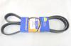 AMD AMD.BL286 Ремень поликлиновой 6PK1513