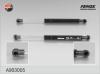 FENOX A903005 Пружина газ.багаж. Ford Focus 99-04