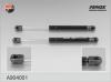 FENOX A904001 Пружина газ.багаж. Audi A4 00-04, A6 97-05
