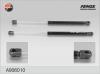 FENOX A906010 Амортизатор капота