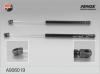 FENOX A906019 Пружина газ.багаж. Skoda Octavia I  97-05