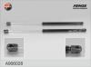 FENOX A906028 Амортизатор капота