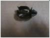 GEELY 1067000116 КЛИПСА