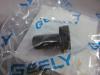 GEELY 3016007538 БОЛТ ДИФФЕРЕНЦИАЛА