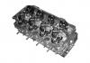 CHERY 480EF1003001 Головка блока цилиндров (в сборе)