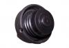CHERY S111103010BA Крышка заливной горловины бензобака (s11-1103010)