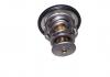 CHERY SMD315301 ТЕРМОСТАТ