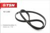 TSN 101302 Ремень поликлиновой L-1100мм