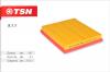 TSN 9.1.1 Фильтр воздушный