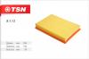 TSN 9.1.13 Фильтр воздушный