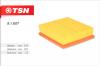 TSN 9.1.607 Фильтр воздушный