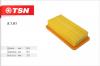 TSN 9.1.61 Фильтр воздушный