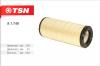 TSN 91746 Фильтр воздушный (основной элемент)