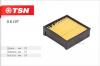 TSN 98107 Фильтр топливный