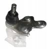 SAT ST4333029405 Шаровая нижняя FR TOYOTA ALPHARD/CAMRY/ESTIMA/HARRIER/KLUGER/SIENNA/WINDOM/LEXUS ES/RX3#0 01- RH